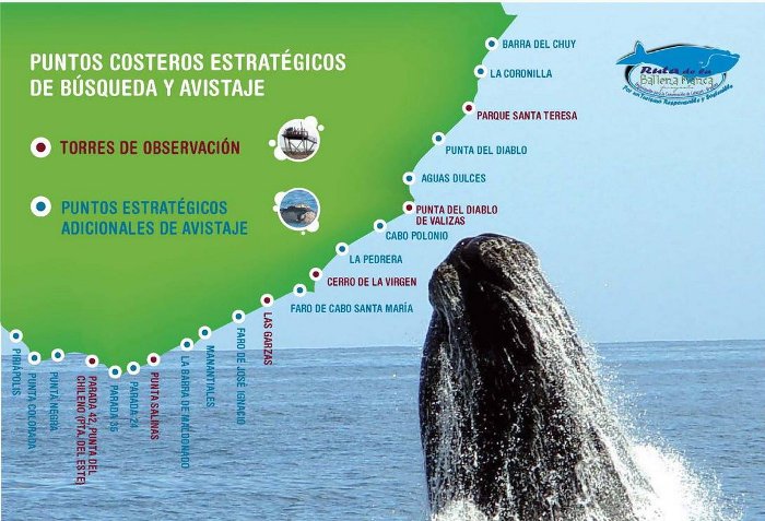 mapa donde ver ballenas en uruguay