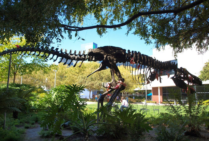 Tiranosaurio Rex en googleplex